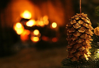 Golden pinecone
