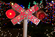 Reindeer Crossing
