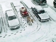Reindeer Parking