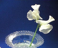 Craft Vase
