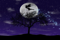 Full Moon Angel
