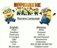 Minion Language