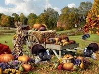 Thanksgiving on the Farm