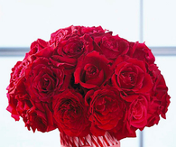 Cool roses
