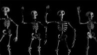 Skeleton shuffle