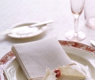 Holly Napkin Holders