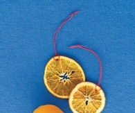 Citrus Slice Ornaments