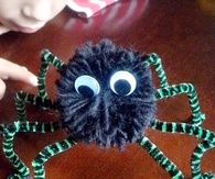 Pompom spiders