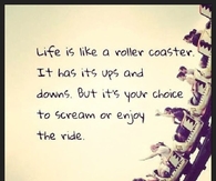 Life Is Like A Roller Coaster