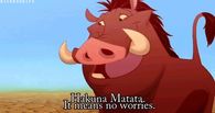 Hakuna Matata