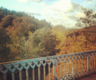 Autumn forest beyond the railway