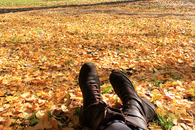 Laying in the fall leaves