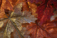 Glitter leaves