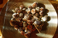 Pinecones
