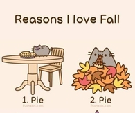 Reasons i love fall