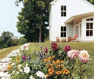 A cutting garden