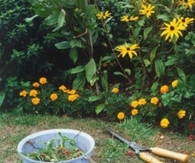 Flower pot garden