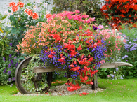 Garden shed container