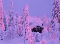 Winter cabin