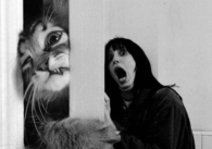 The kitty shining