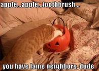 You have lame neighbors dude