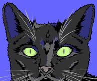 Creepy Cat