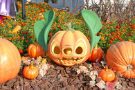 Stitch pumpkin