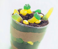 Dragon food dessert