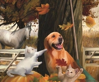 Autumn Pets