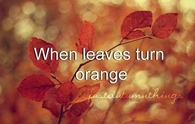 When Leaves turn Orange