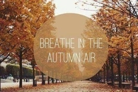 Breath in the Autumn Air