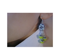 elegant earrings