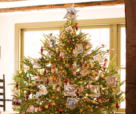 Family photos christmas tree