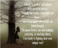 Nobody is Perfect...