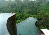 Infinity Pool