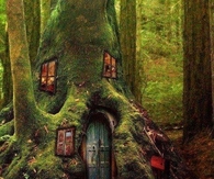 Fairy House
