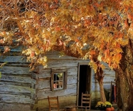 Autumn cabin