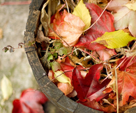 Leaf bucket