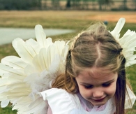Feathered fairy
