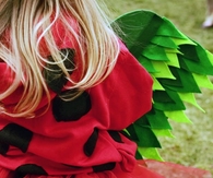 Ladybug costume