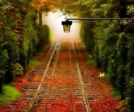 Autumn lamp