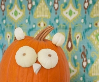Owl pumpkin