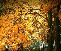A lovely autumn ride