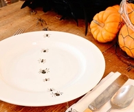 hand painted insect plates