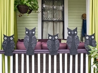 Ever watchful owls