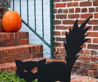 Scaredy cat cut out