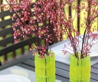 DIY Vases