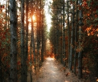Autumn sunset