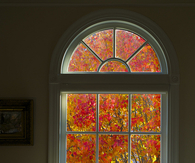 Autumn window