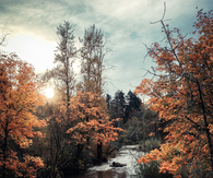 Cool Autumn view
